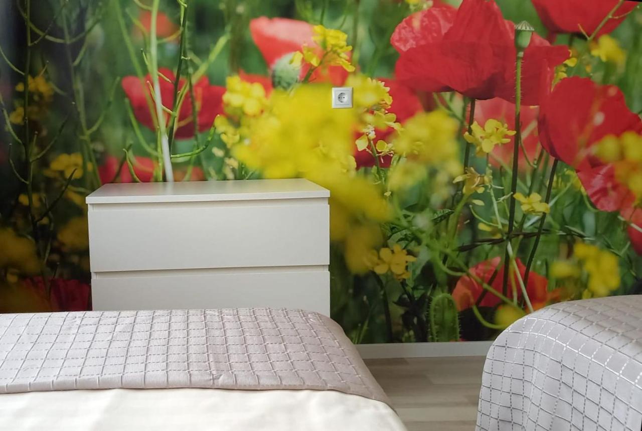 Abendsonne Apartments Кобленц Екстериор снимка